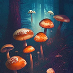 Mushroom Way
